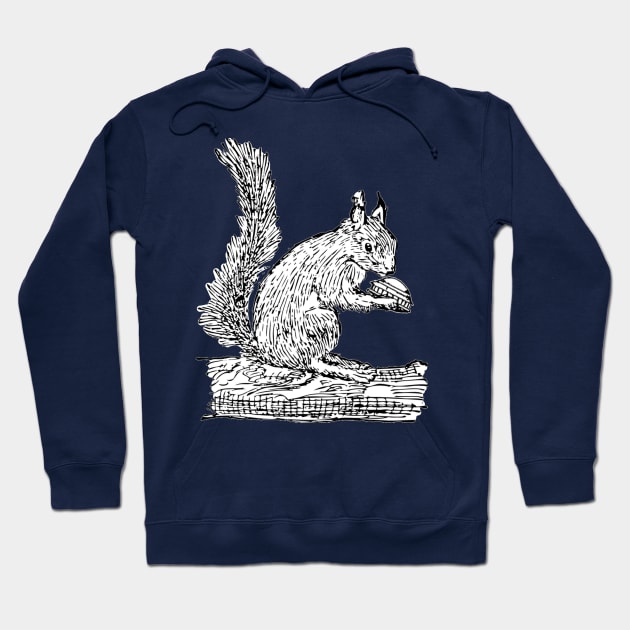 Squirrel and UFO Hoodie by ACE5Handbook